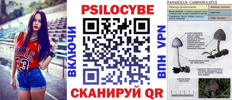 Псилоцибиновые грибы GOLDEN TEACHER  Андреаполь 
